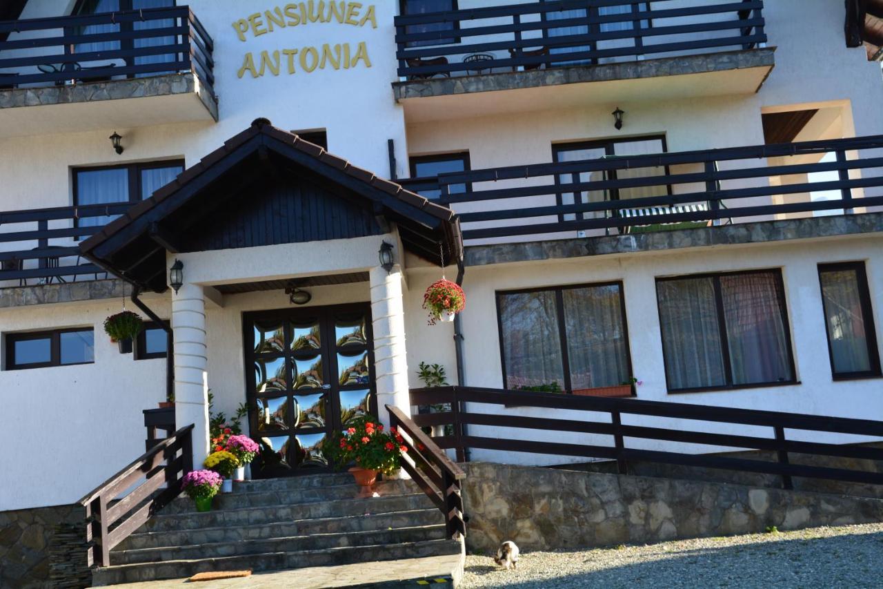 Pensiunea Antonia برانْ المظهر الخارجي الصورة